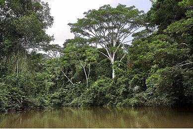 漫画“零度战姬”改编游戏《Freezing WHAT IF...》Steam页面 发售日待定